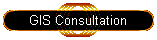 GIS Consultation